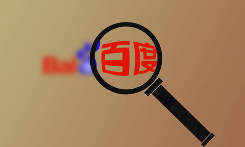 财富蜘蛛池出租